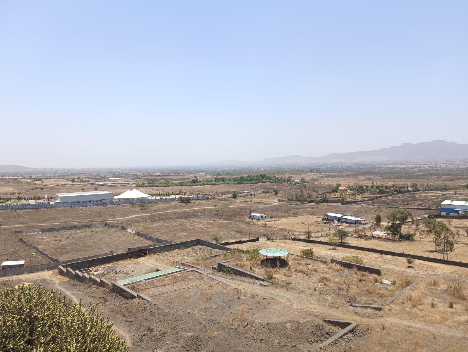 Majestic Royal Farm - MRF